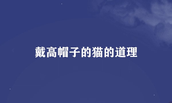 戴高帽子的猫的道理