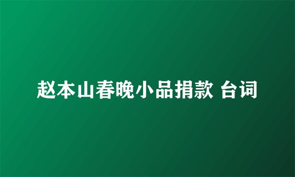赵本山春晚小品捐款 台词