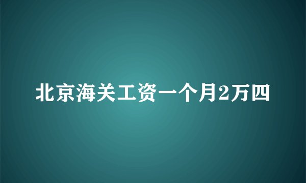 北京海关工资一个月2万四