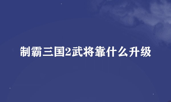 制霸三国2武将靠什么升级