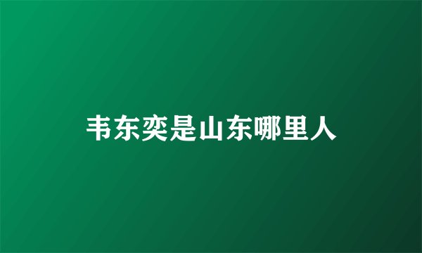 韦东奕是山东哪里人