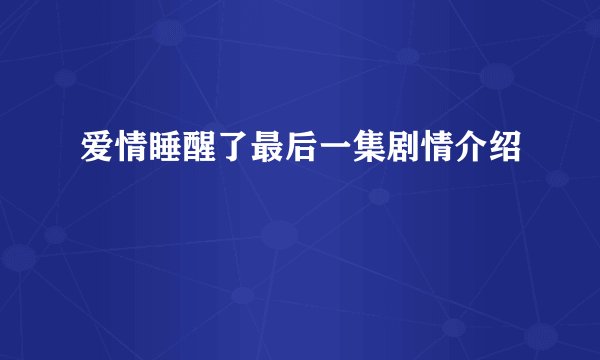 爱情睡醒了最后一集剧情介绍