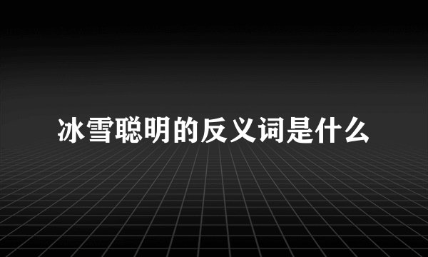 冰雪聪明的反义词是什么