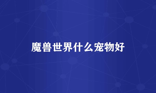 魔兽世界什么宠物好