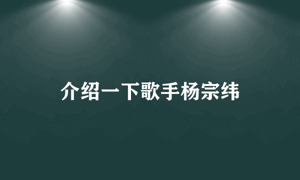 介绍一下歌手杨宗纬
