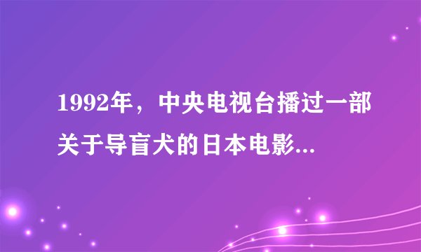 1992年，中央电视台播过一部关于导盲犬的日本电影，谁还记得？