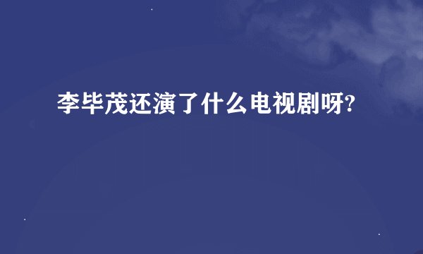 李毕茂还演了什么电视剧呀?