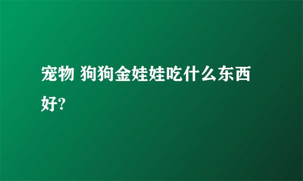 宠物 狗狗金娃娃吃什么东西好?