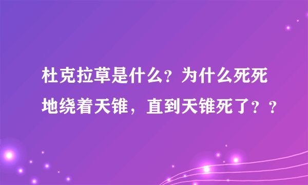 杜克拉草是什么？为什么死死地绕着天锥，直到天锥死了？？