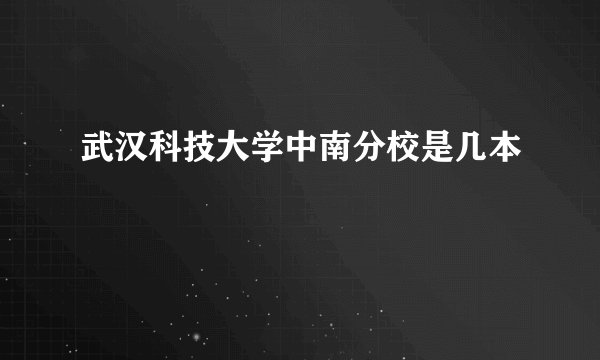 武汉科技大学中南分校是几本