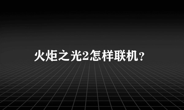 火炬之光2怎样联机？