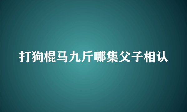 打狗棍马九斤哪集父子相认