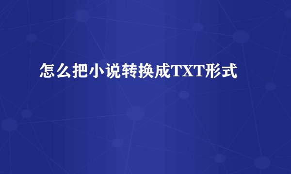 怎么把小说转换成TXT形式