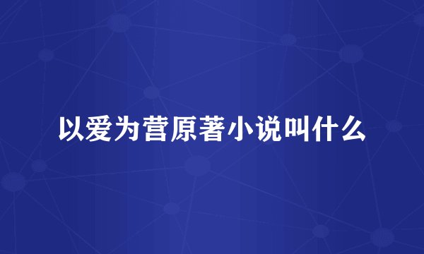 以爱为营原著小说叫什么