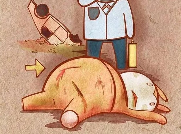 巨人观尸是什么意思