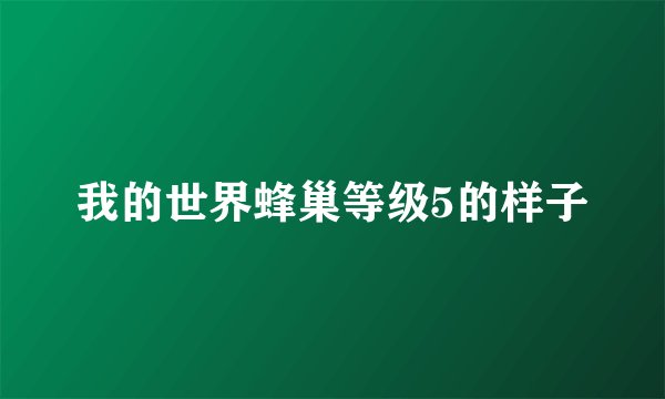 我的世界蜂巢等级5的样子