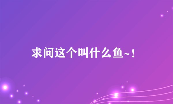 求问这个叫什么鱼~！