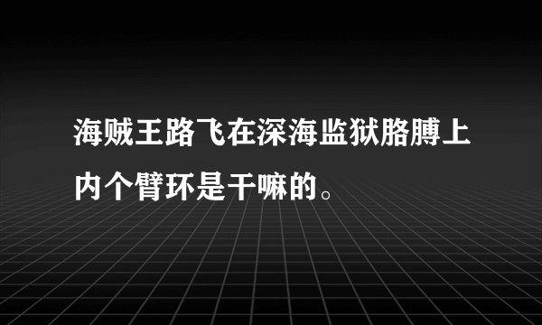 海贼王路飞在深海监狱胳膊上内个臂环是干嘛的。