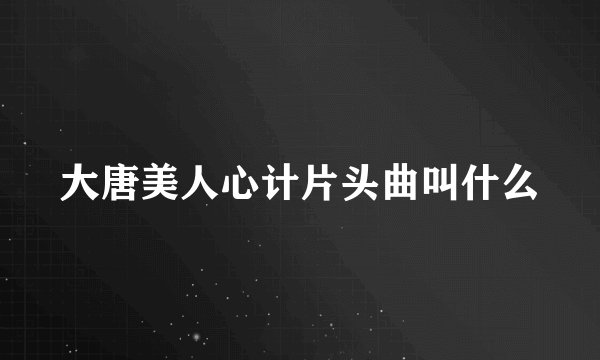 大唐美人心计片头曲叫什么