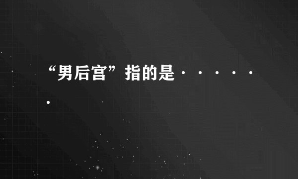“男后宫”指的是······