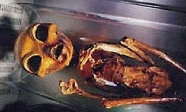 七个外星人真正照片 外星人是什么样子的照片