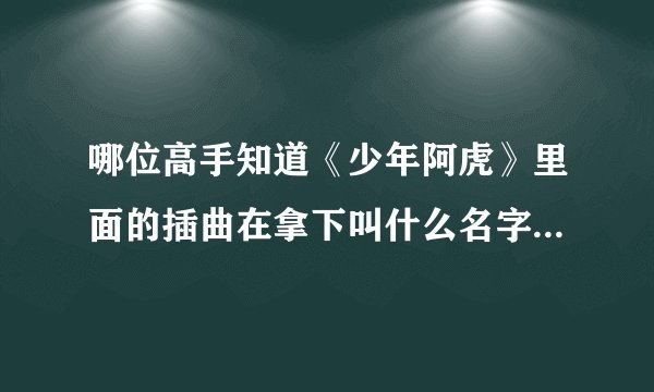 哪位高手知道《少年阿虎》里面的插曲在拿下叫什么名字啊！就是一个男的哼哼那个！有赏钱啊！