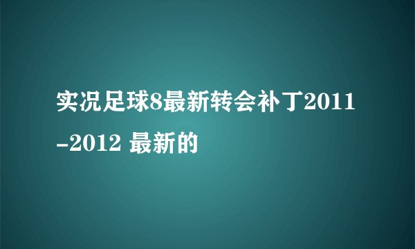 实况足球8最新转会补丁2011-2012 最新的