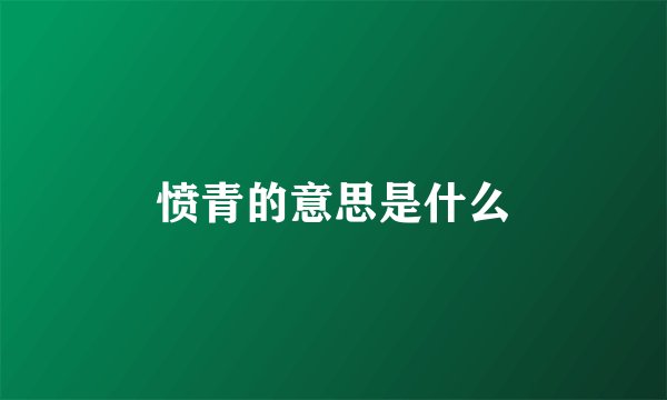 愤青的意思是什么