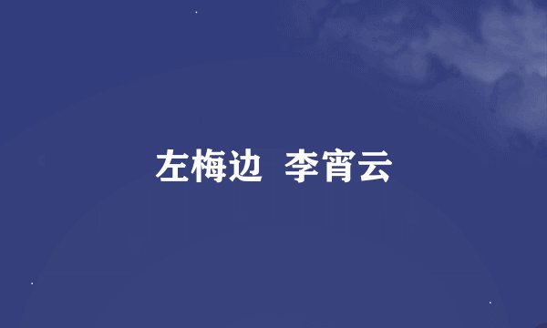 左梅边  李宵云