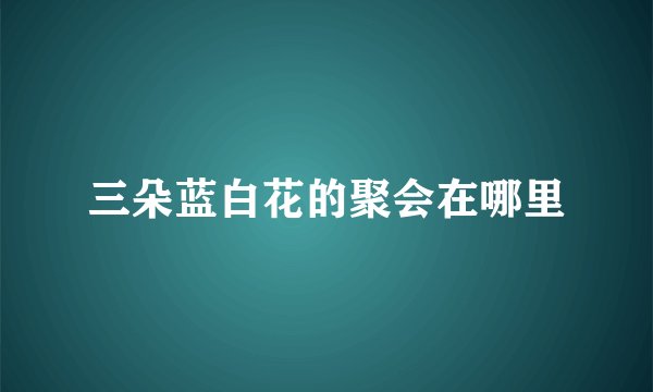 三朵蓝白花的聚会在哪里