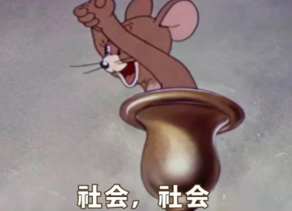 社会社会是什么梗？