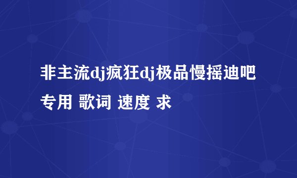 非主流dj疯狂dj极品慢摇迪吧专用 歌词 速度 求