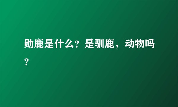 勋鹿是什么？是驯鹿，动物吗？