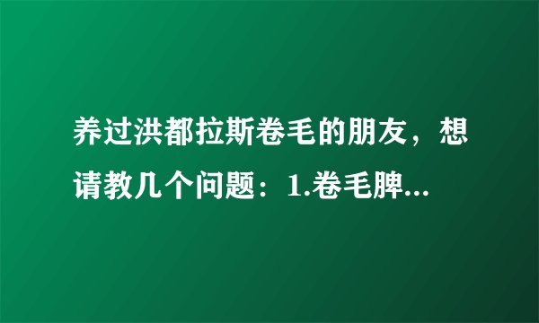 养过洪都拉斯卷毛的朋友，想请教几个问题：1.卷毛脾气怎么样 2.什么是剔毛，什么情况下剔毛