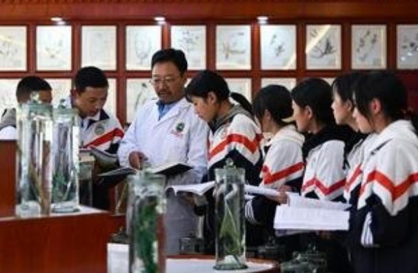 职业素质教育内容