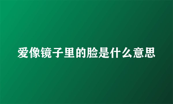 爱像镜子里的脸是什么意思