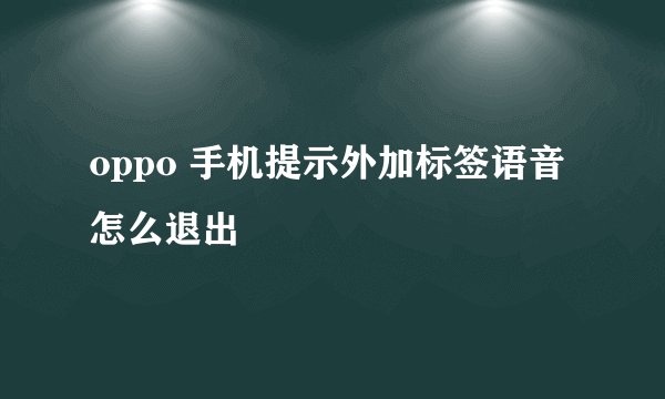 oppo 手机提示外加标签语音怎么退出