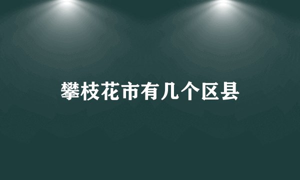 攀枝花市有几个区县