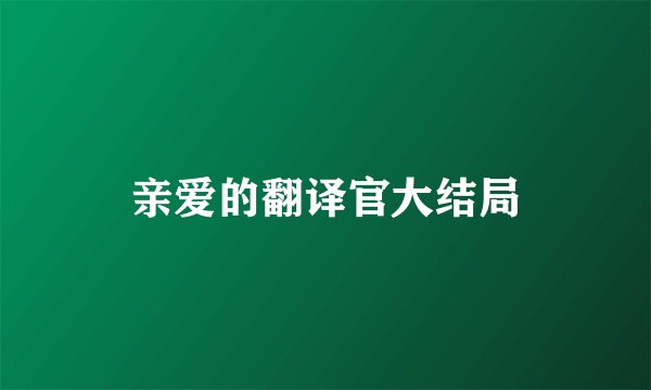 亲爱的翻译官大结局