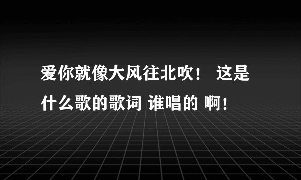 爱你就像大风往北吹！ 这是什么歌的歌词 谁唱的 啊！