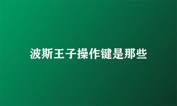 波斯王子操作键是那些