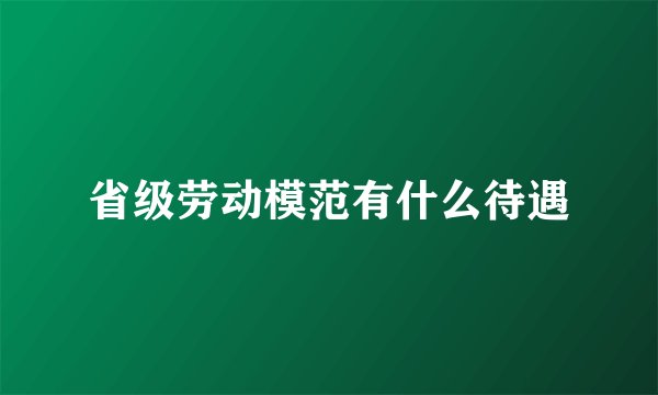 省级劳动模范有什么待遇