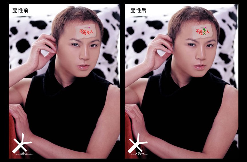 吉米变性的介绍