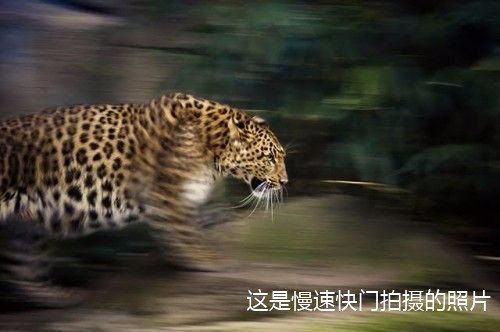 快门速度是什么意思 新手如何选择快门速度