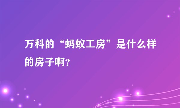 万科的“蚂蚁工房”是什么样的房子啊？