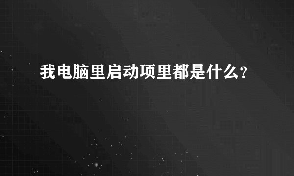 我电脑里启动项里都是什么？