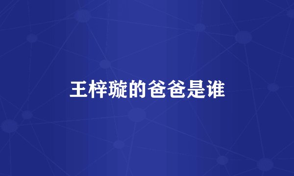 王梓璇的爸爸是谁