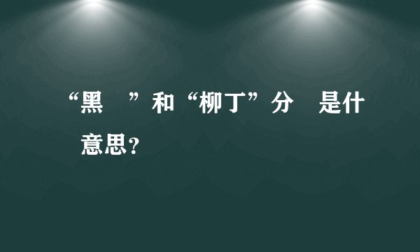 “黑輪”和“柳丁”分別是什麼意思？