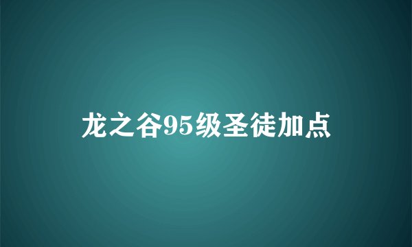 龙之谷95级圣徒加点