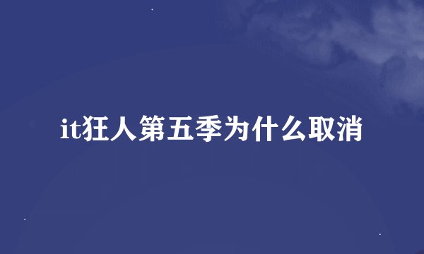 it狂人第五季为什么取消